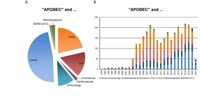 AID and APOBECs as Multifaceted Intrinsic Virus-Restricting Factors: Emerging Concepts in the Light of COVID-19